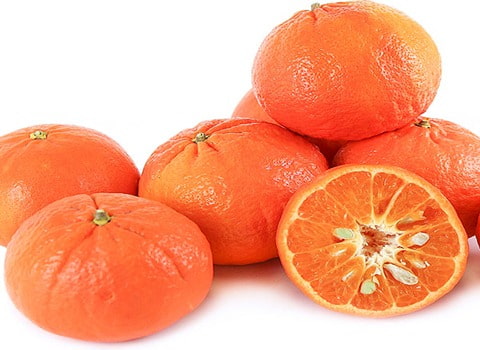 تصویر 1 از قیمت خرید نارنگی پیچ + فروش ویژه